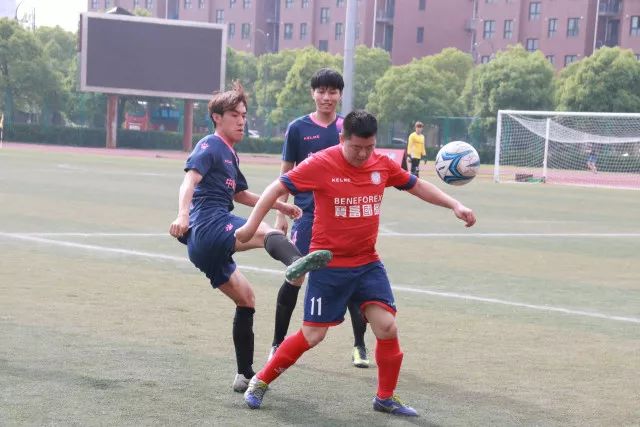 周群飞的崛起与挑战：中国女首富的双重辨析